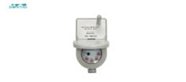 Lora。。。-AMR-water-meters-100-100