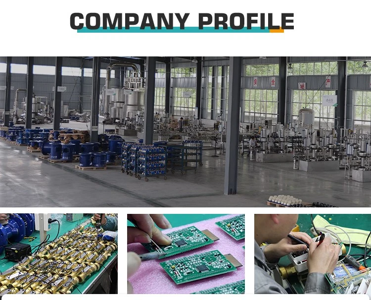 8ultrasonic water meter company profile