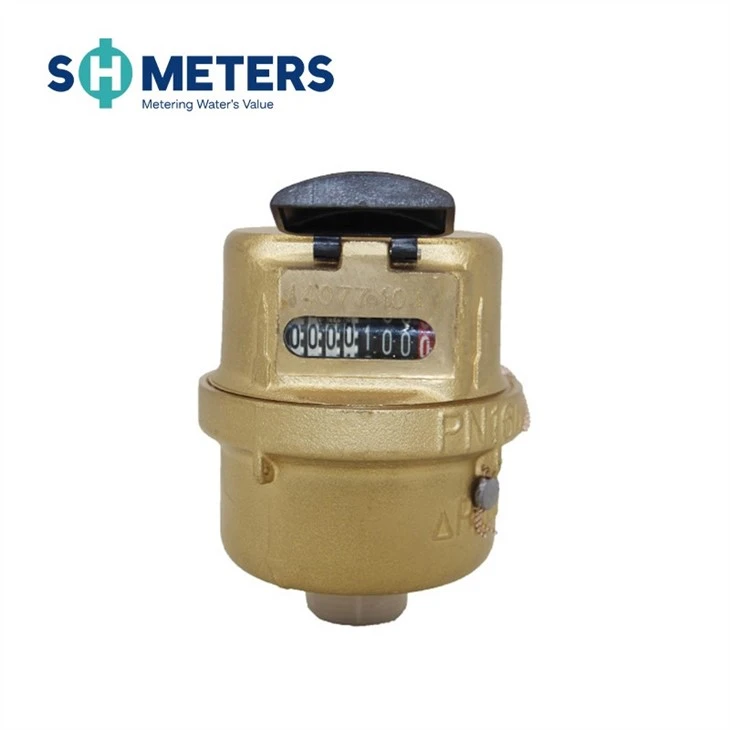 R160 Volumetric Water Meter Municipal Water Meter DN15-DN25 Brass Material