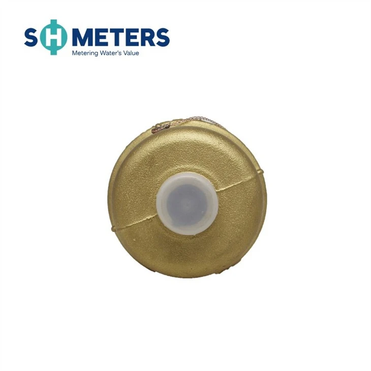 R160 Volumetric Water Meter Municipal Water Meter DN15-DN25 Brass Material