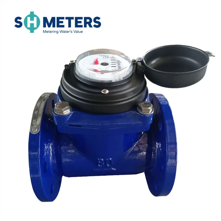 Removable Element Woltman Cold (hot) Water Meter Removable Element Woltman Cold (hot) Water Meter